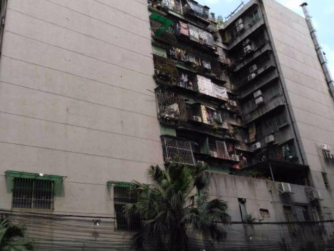无物业的茶滘小区 196户居民的自治管理之路